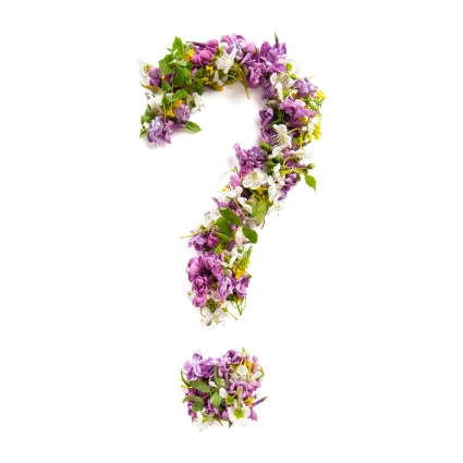 Question mark of natural meadow flowers and lilacs on a white background.